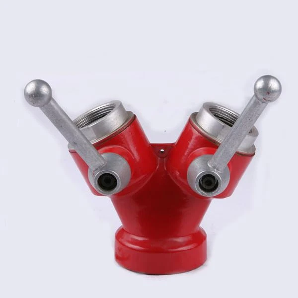 Double Headed Landing Valve